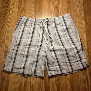 Pacsun Volley Shorts